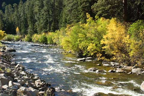 River View