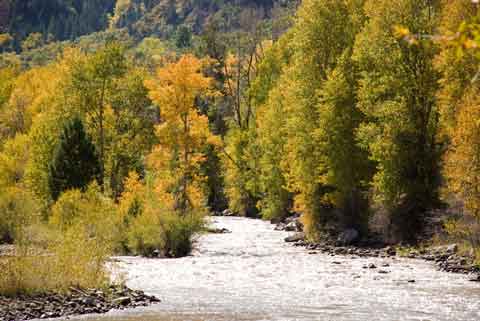 Fall Colors and a River