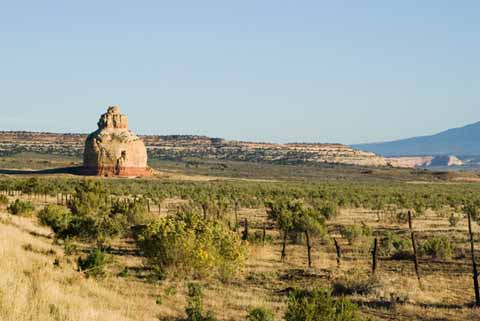 Roadside Hoodoo